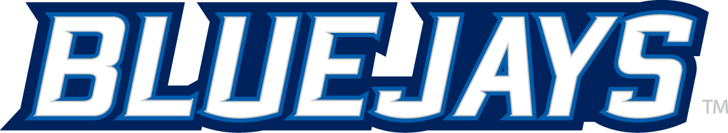 Creighton Bluejays 2013-Pres Wordmark Logo v2 diy iron on heat transfer